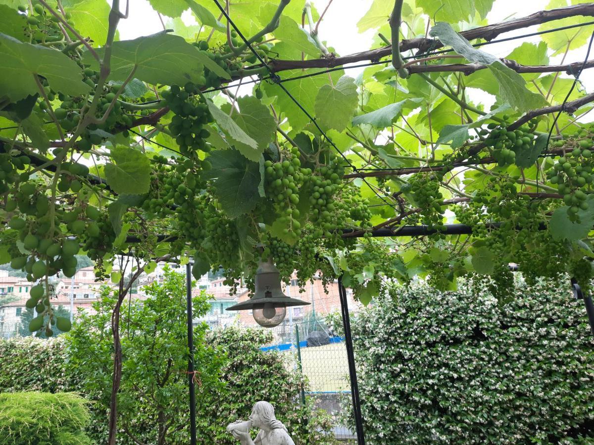 La Villa La Spezia Dış mekan fotoğraf