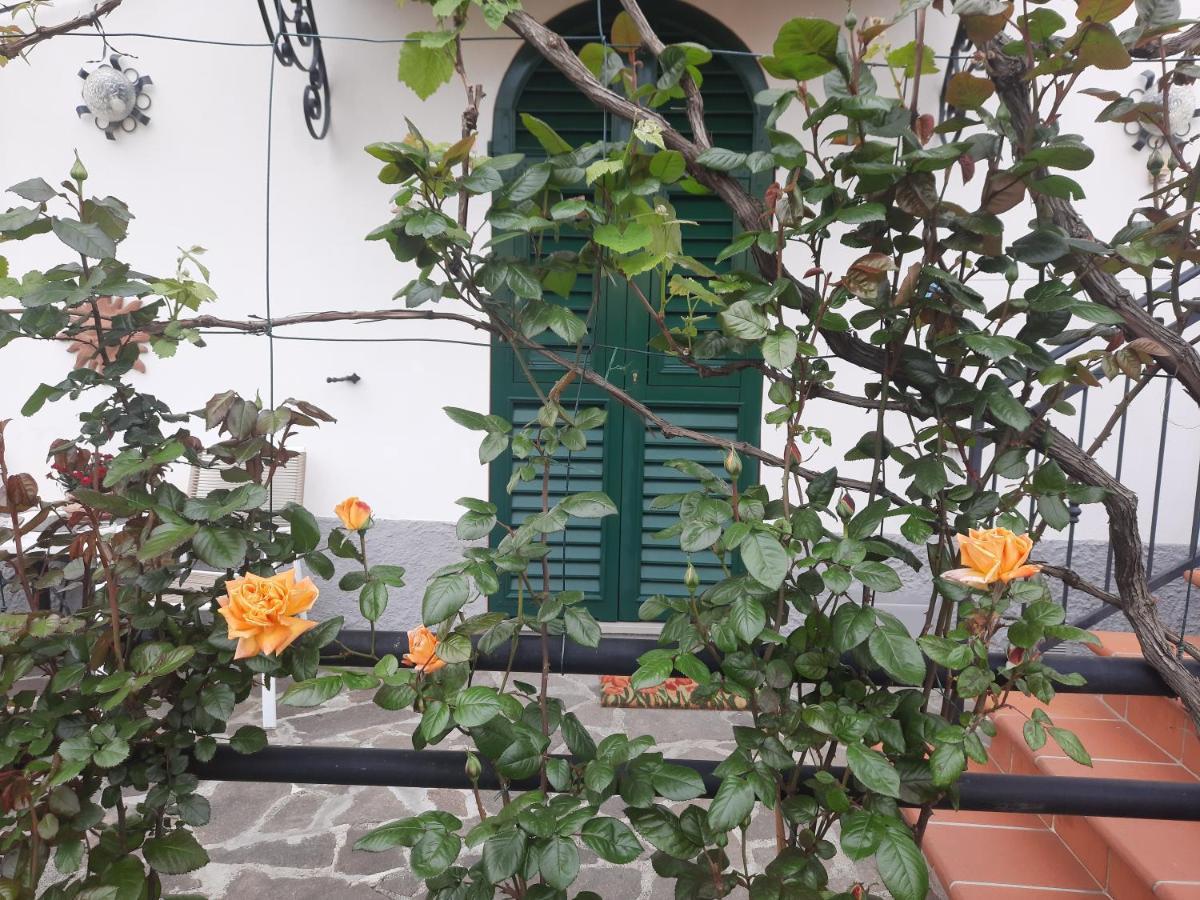 La Villa La Spezia Dış mekan fotoğraf