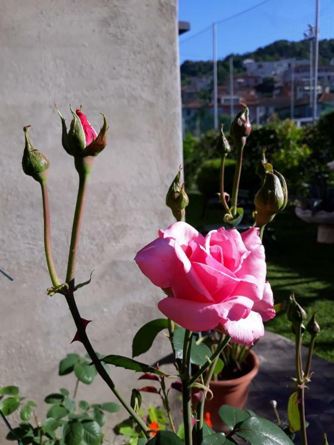 La Villa La Spezia Dış mekan fotoğraf